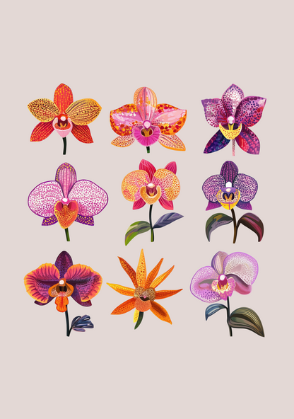 Orchid Variety Art T-Shirt